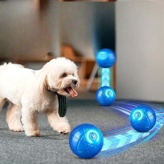 NeoPaw™ Smart Motion Ball