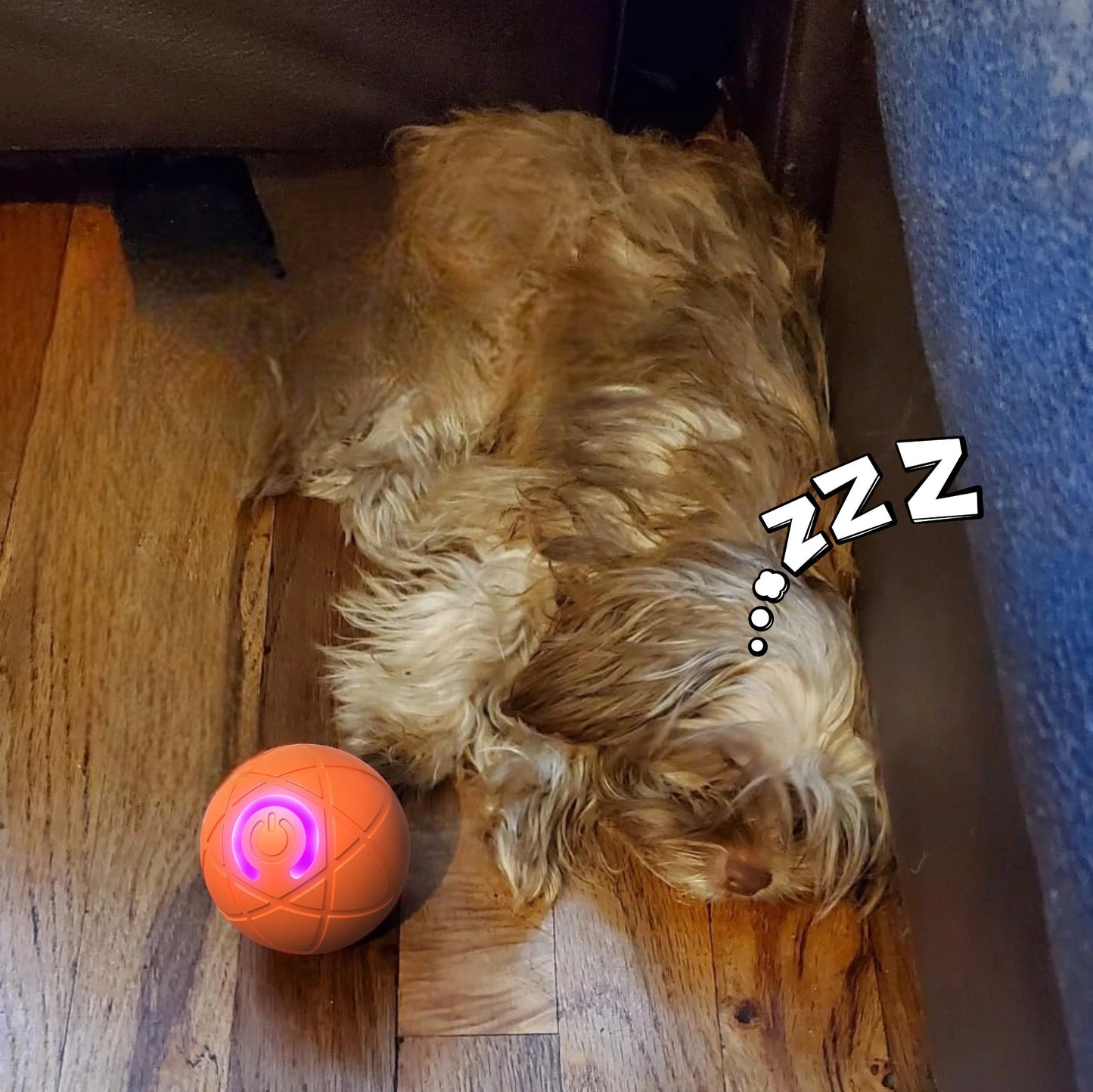 NeoPaw™ Smart Motion Ball