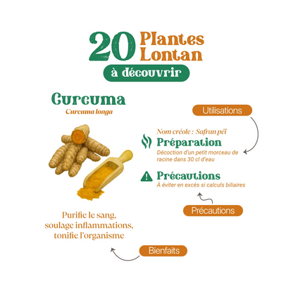 Heritage Herbal Secrets™ – Guide des Tisanes Traditionnelles