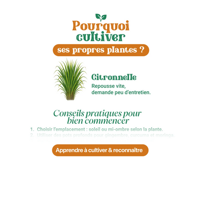 Heritage Herbal Secrets™ – Guide des Tisanes Traditionnelles